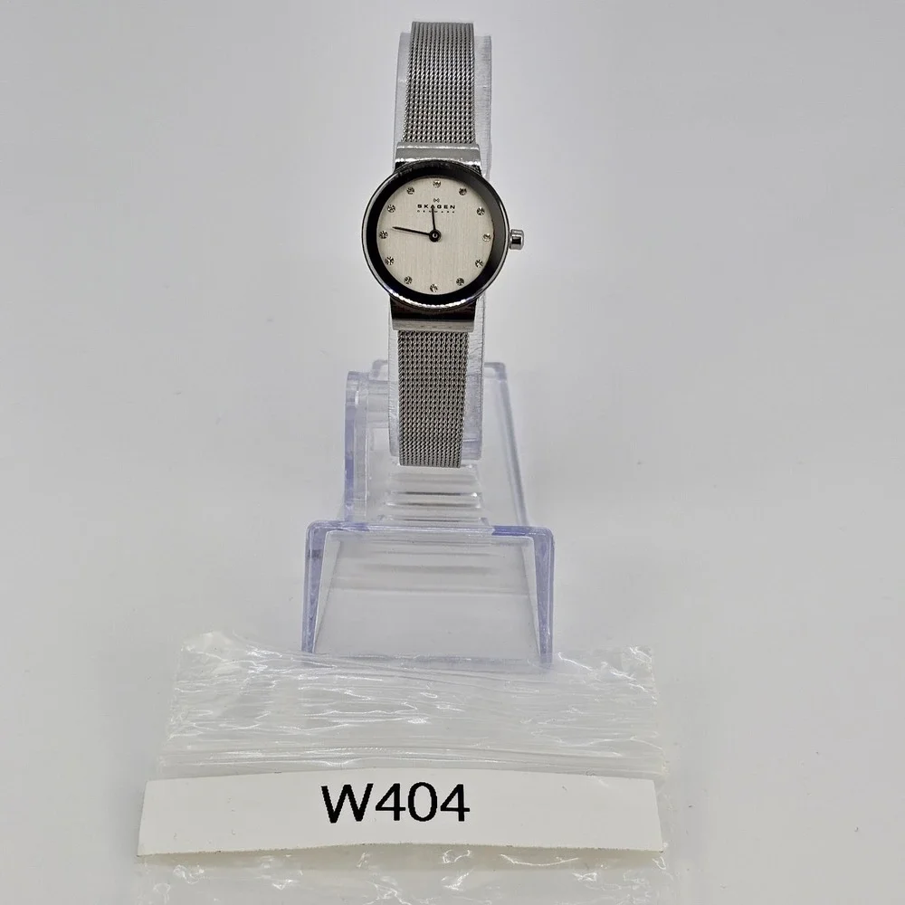 Skagen‎ Women's Analog Watch 22MM Gray Dial Gray Mesh Bands New Battery